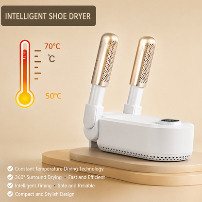 Electric Shoe Dryer