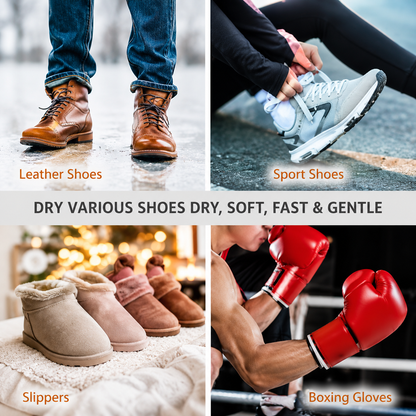 Electric Shoe Dryer